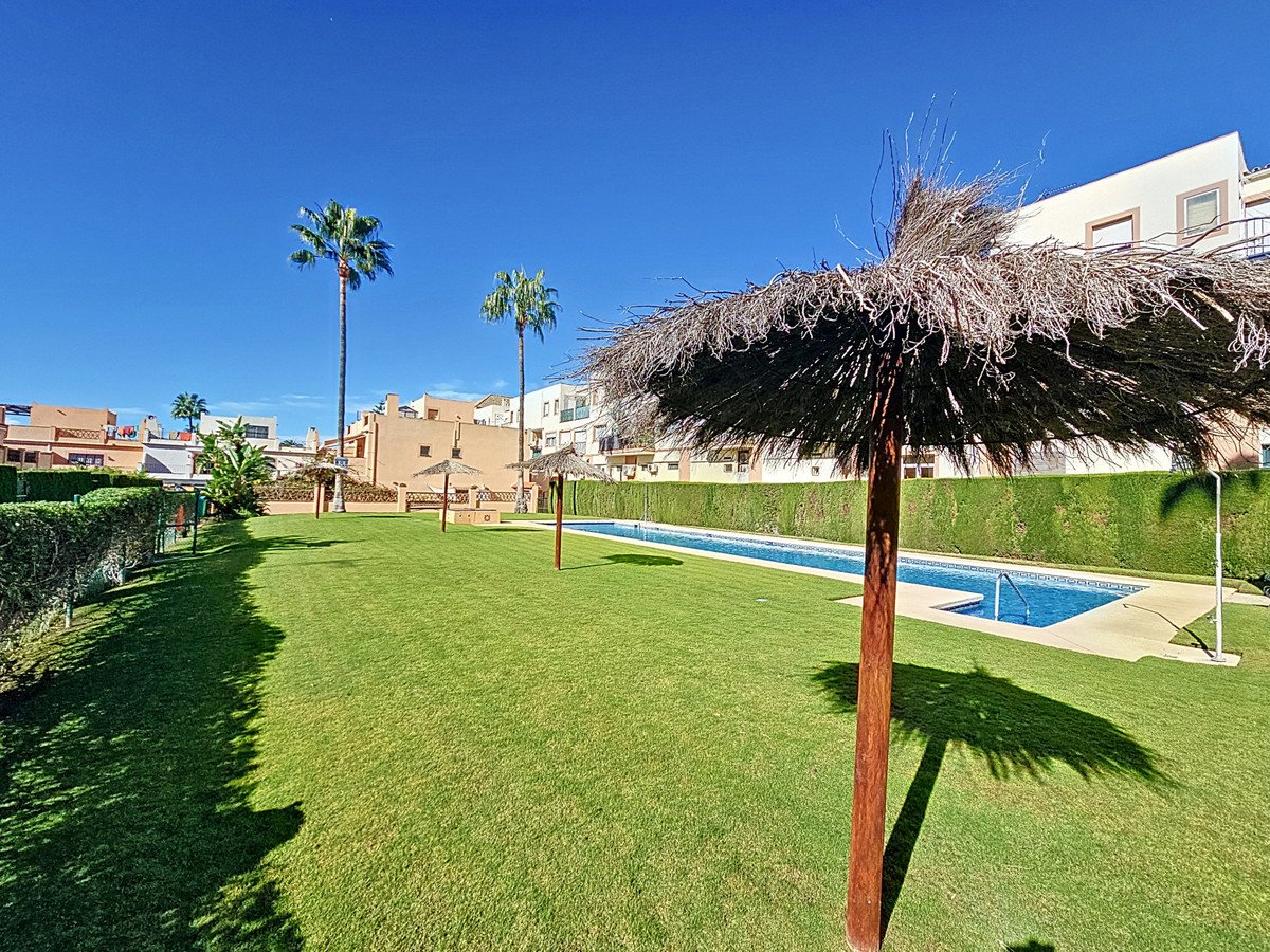 Luscious green lawn with swimming pool and palm trees under clear blue sky