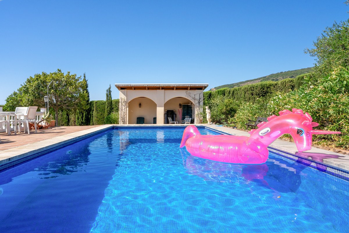 Swimming pool with pink inflatable horse, surrounded by garden and pergola