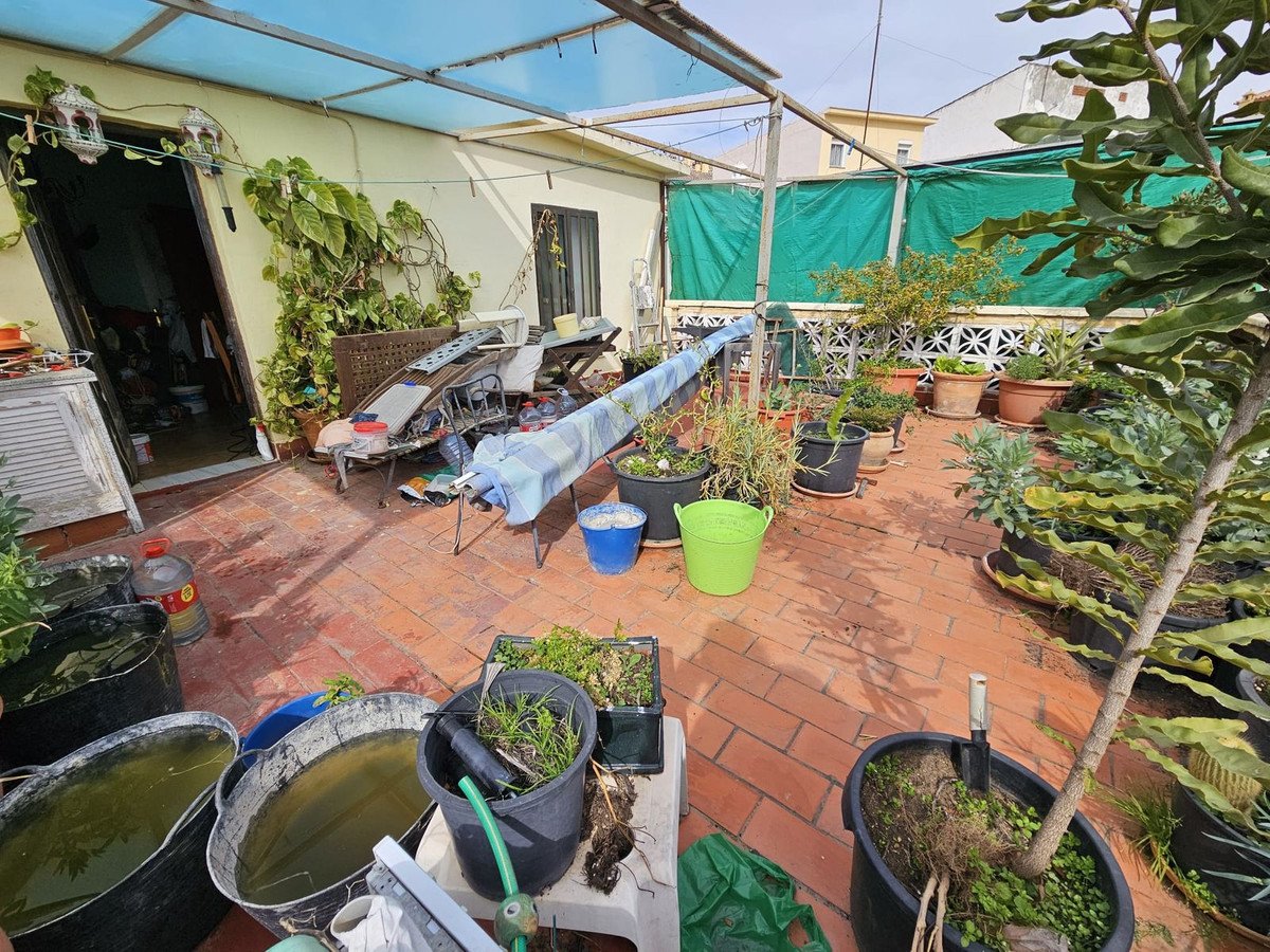 Lively garden terrace with tables, plants, and various gardening items