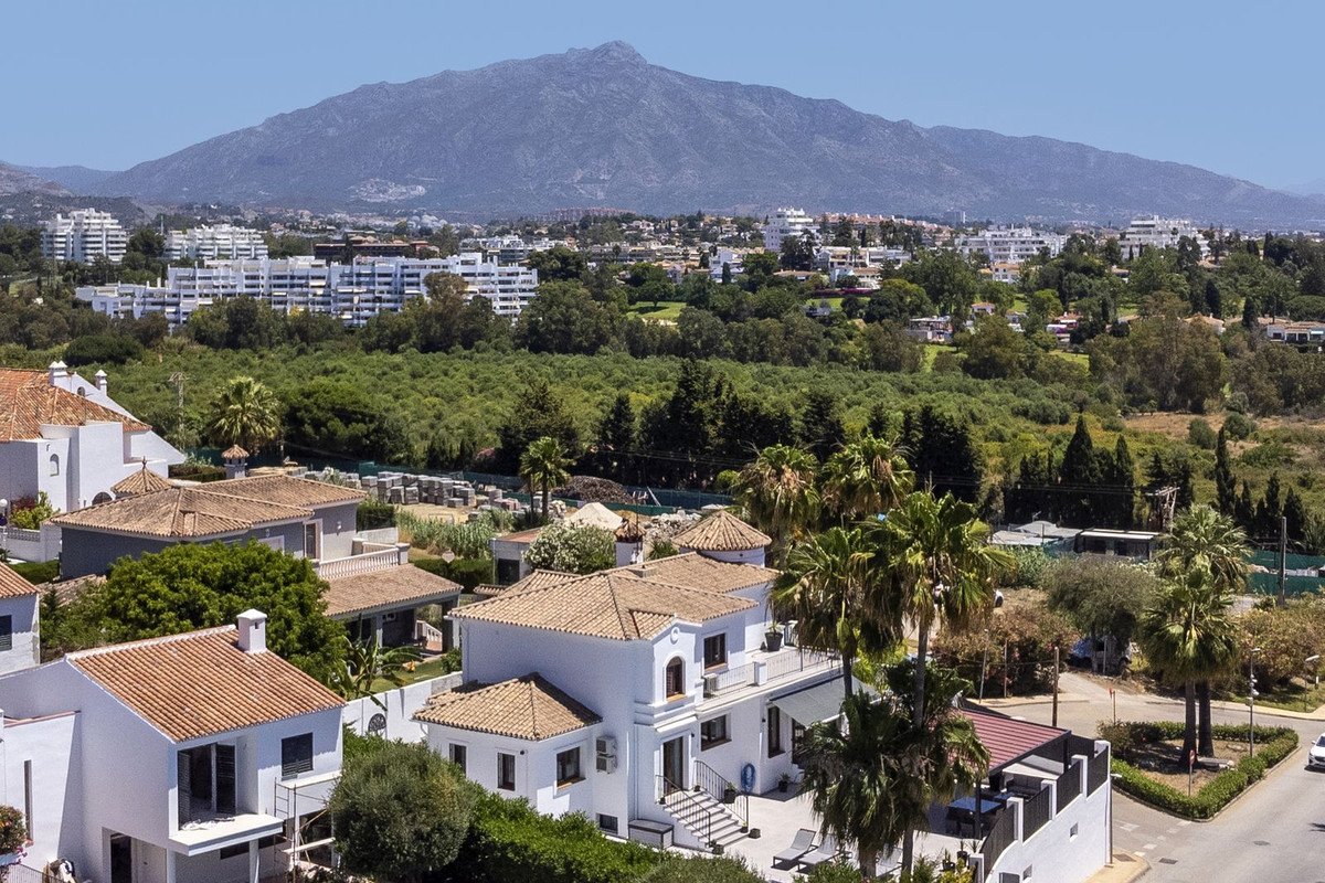 Mountain view from a residential area with palm trees and white houses