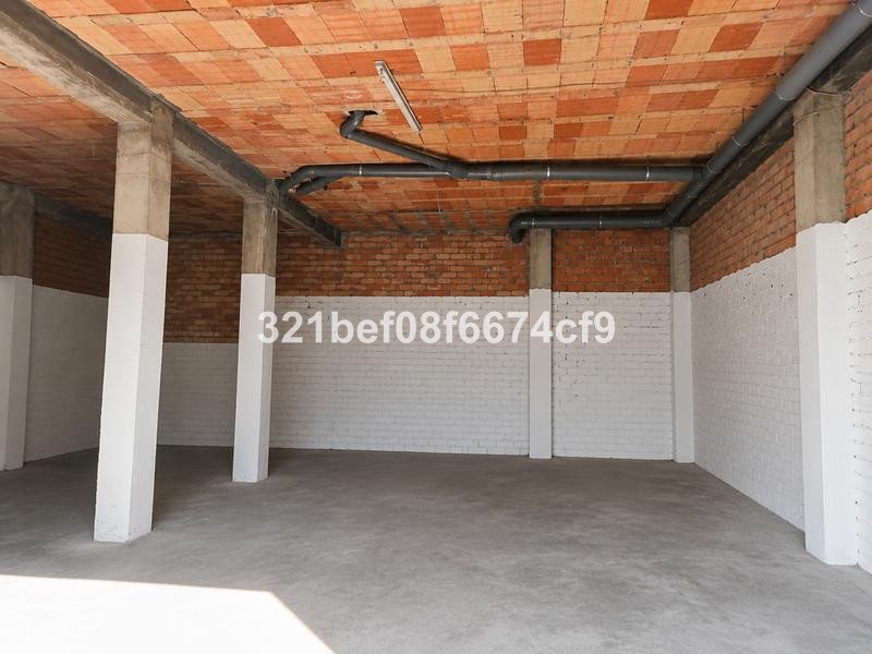 04 photo