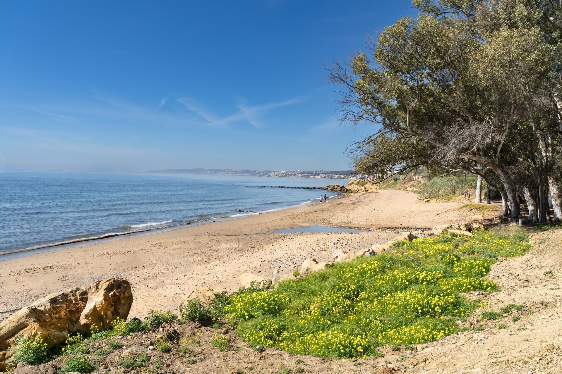 Beachfront room with ocean view, featuring a sandy beach, rocky shore, and lush greenery.