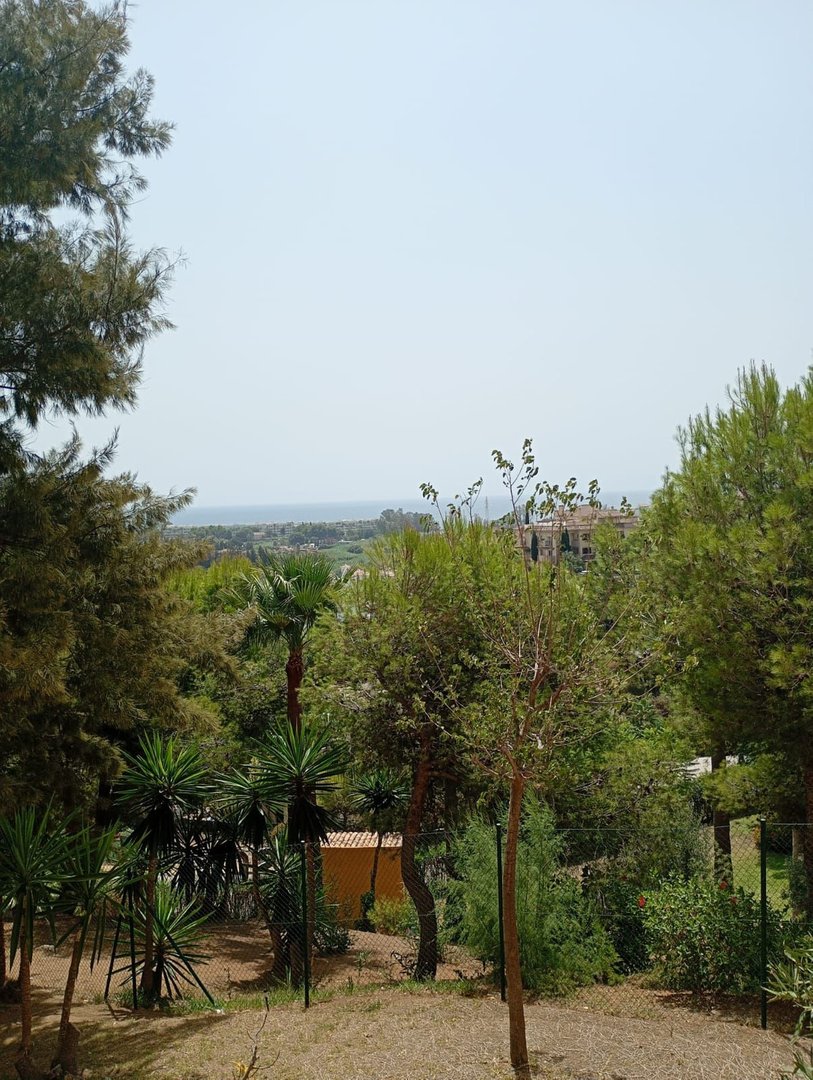 09 photo