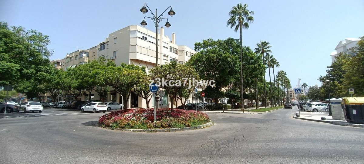 A sunny day shows a street with a roundabout, palm trees, buildings, and parked cars.