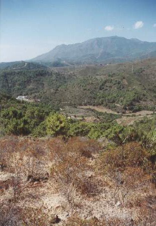 15 photo