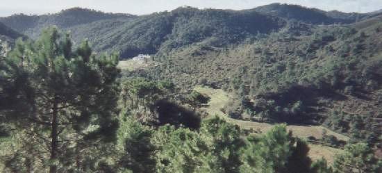 17 photo