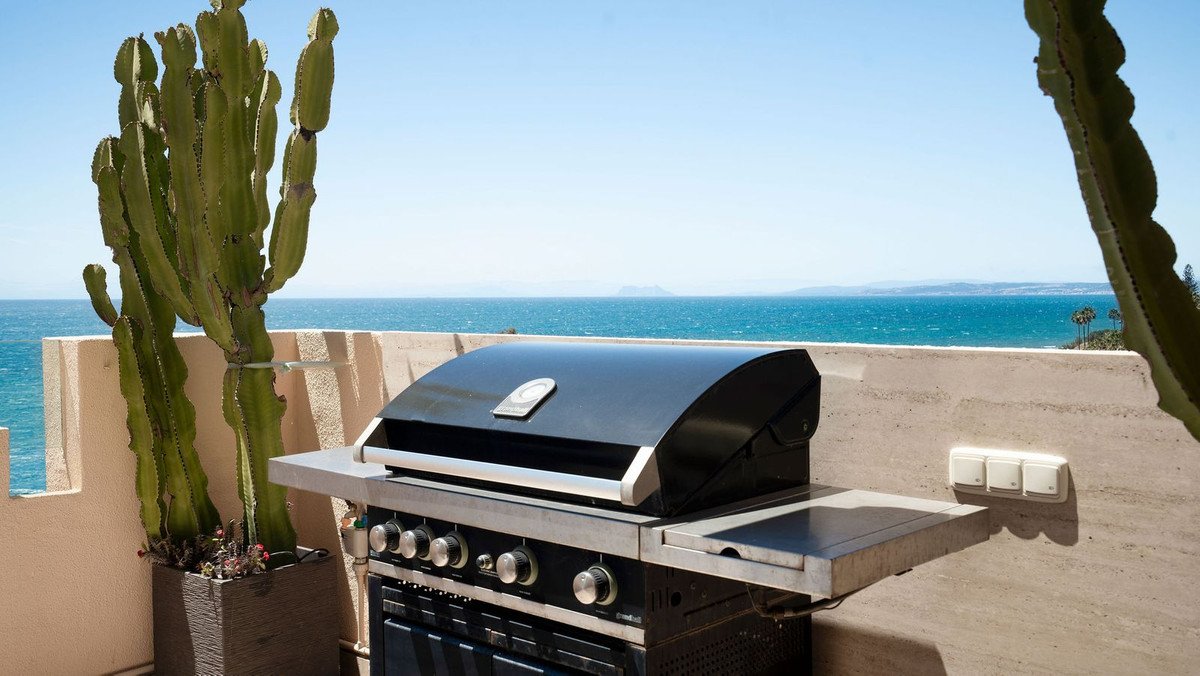 A barbecue grill on a terrace with a beautiful sea view and cacti, under a clear blue sky.