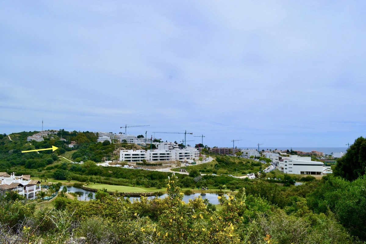 17 photo