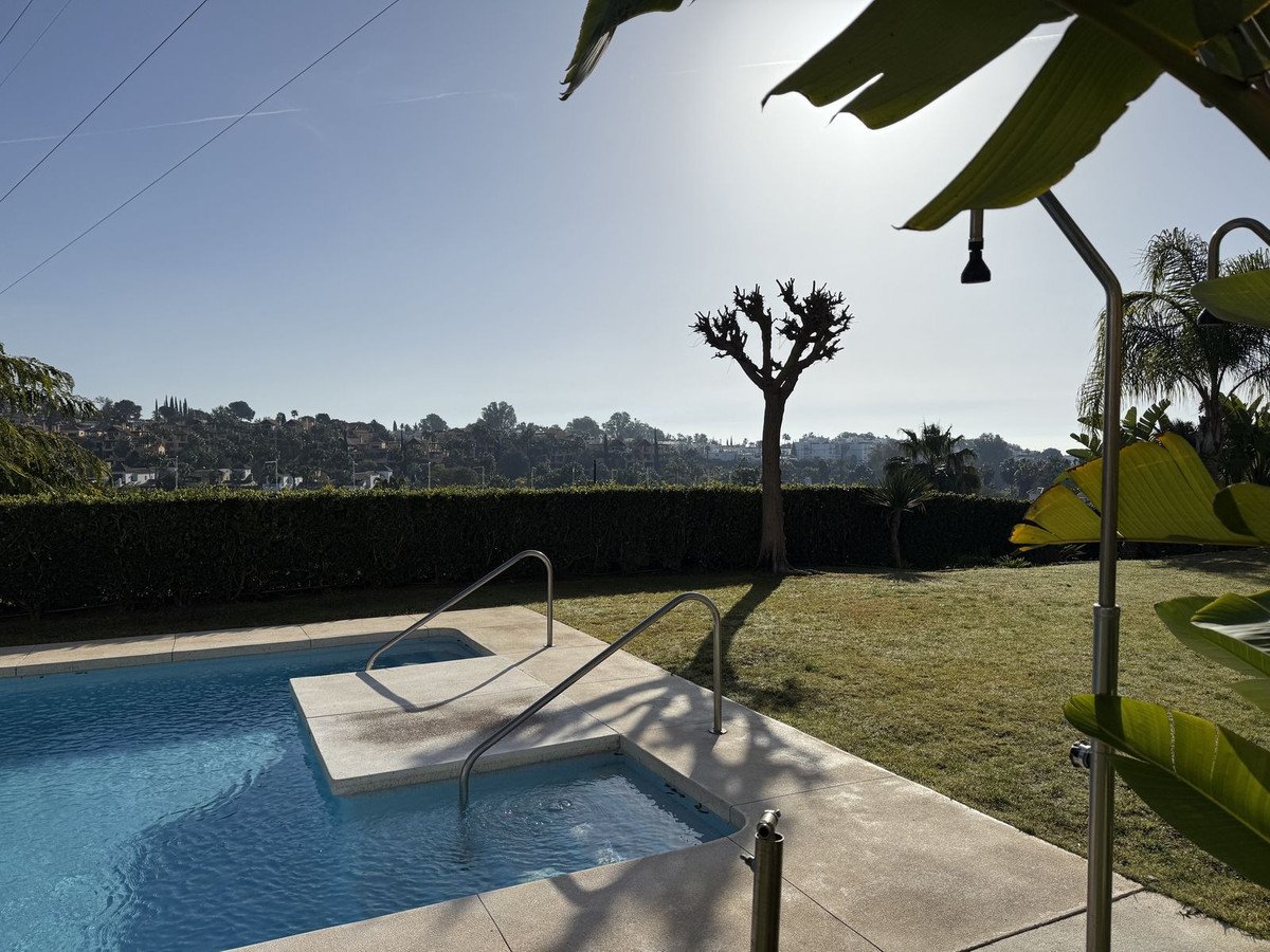 31 photo