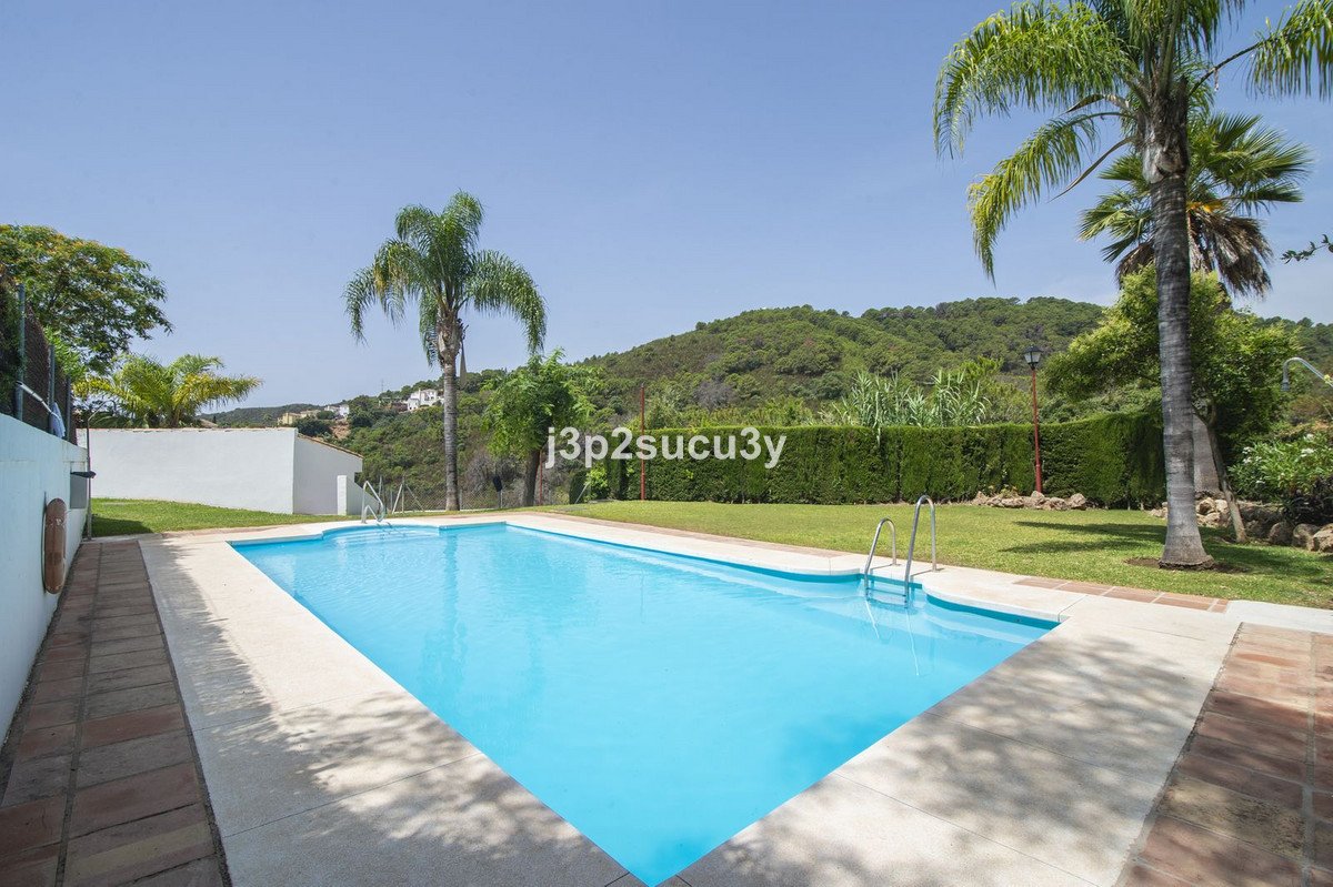 A bright blue swimming pool is set in a green garden with palm trees and a hillside covered in trees in the background.