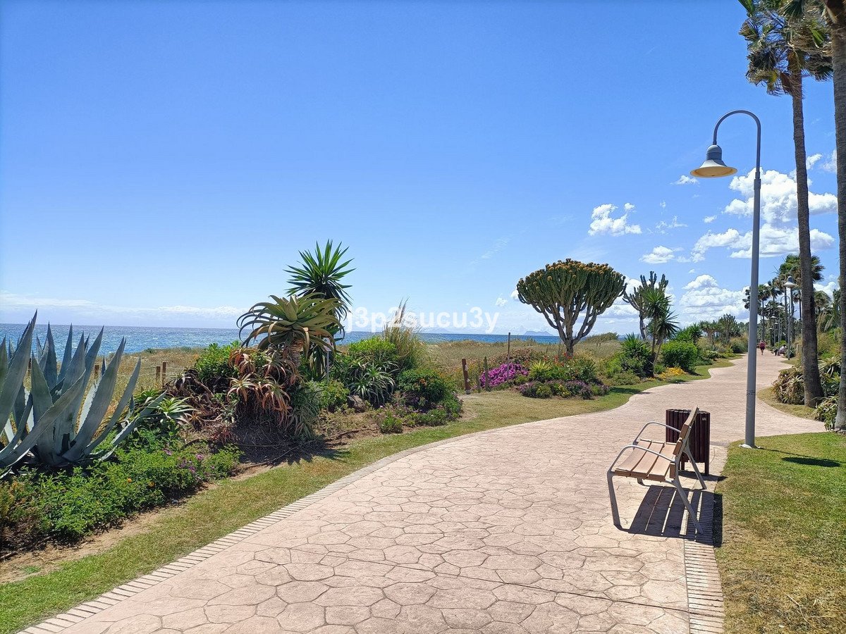 A paved coastal walkway with tropical plants, a bench, and a view of the ocean under a blue sky.