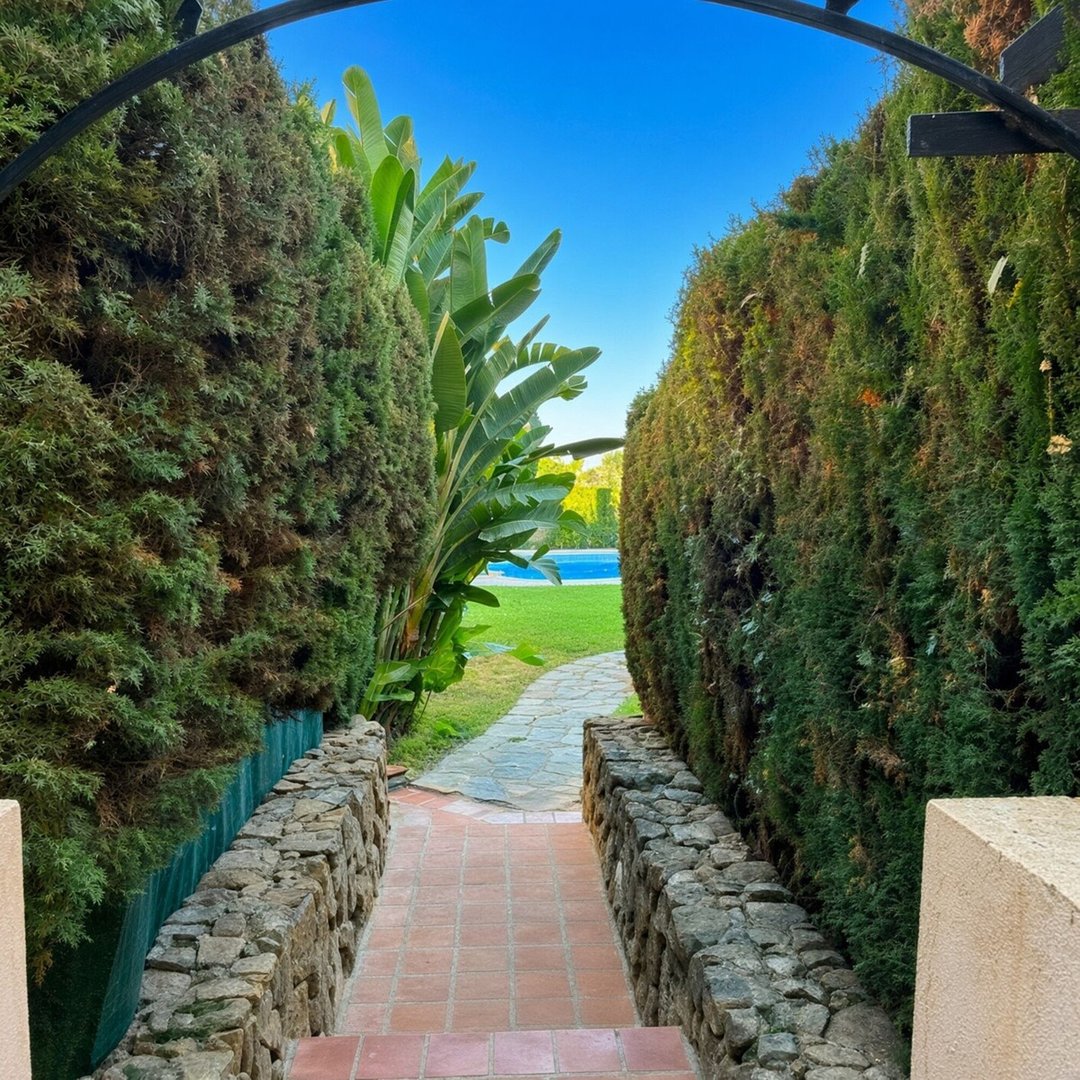 A stone pathway leads through manicured hedges towards a swimming pool on a clear day.