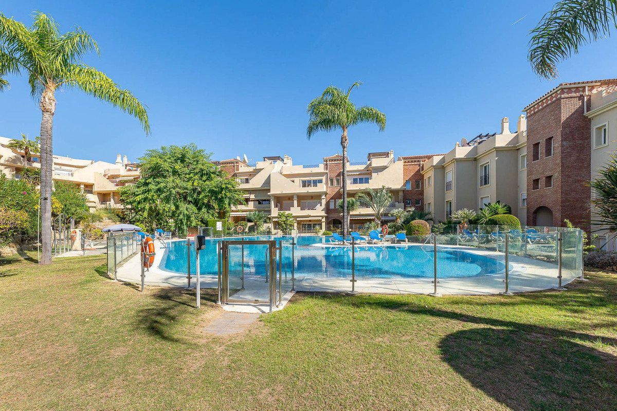Swimming pool with glass fence in apartment complex surrounded by palm trees