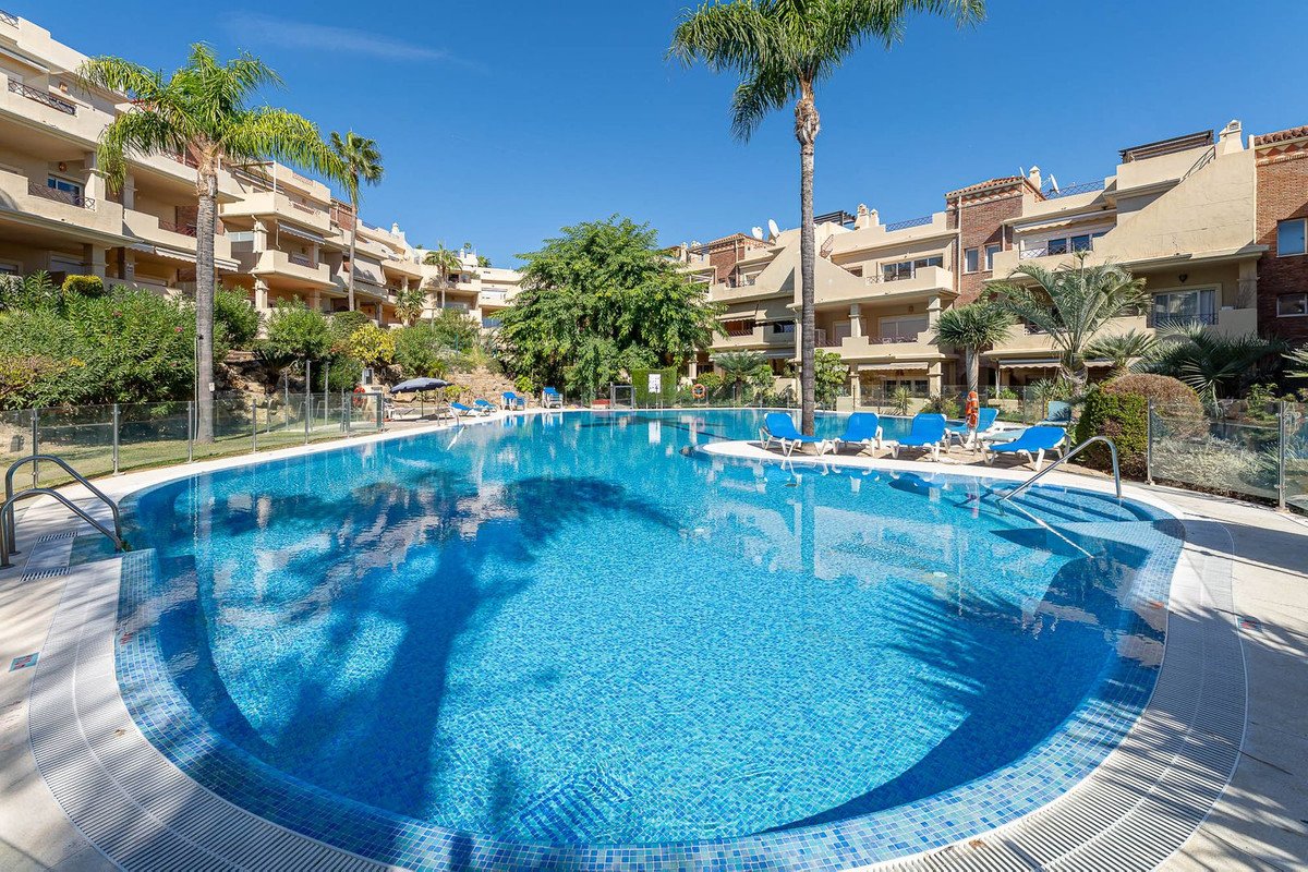 Swimming pool at a resort apartment complex with palm trees and blue lounge chairs