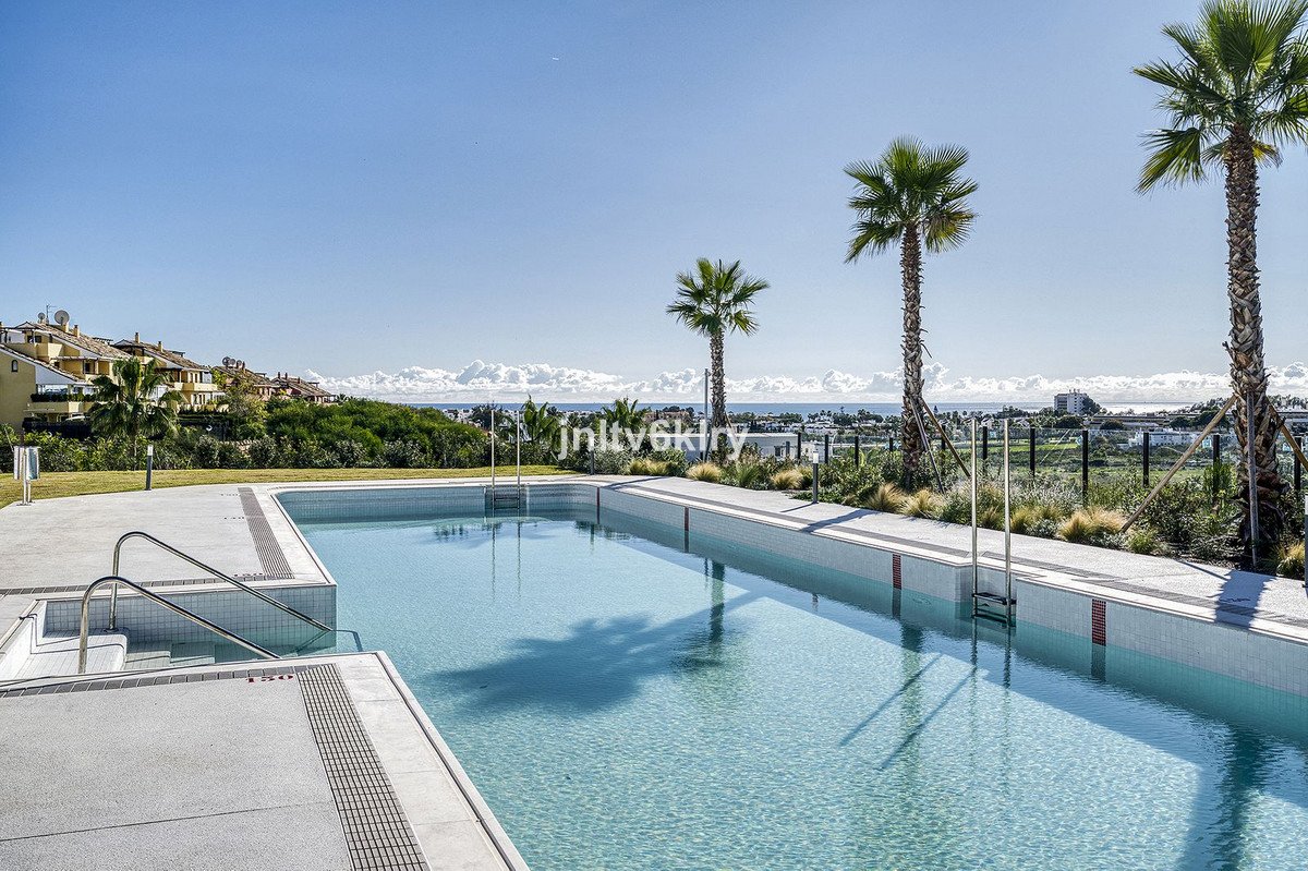 A long, modern swimming pool with steps and railings, surrounded by palm trees and overlooking the sea.