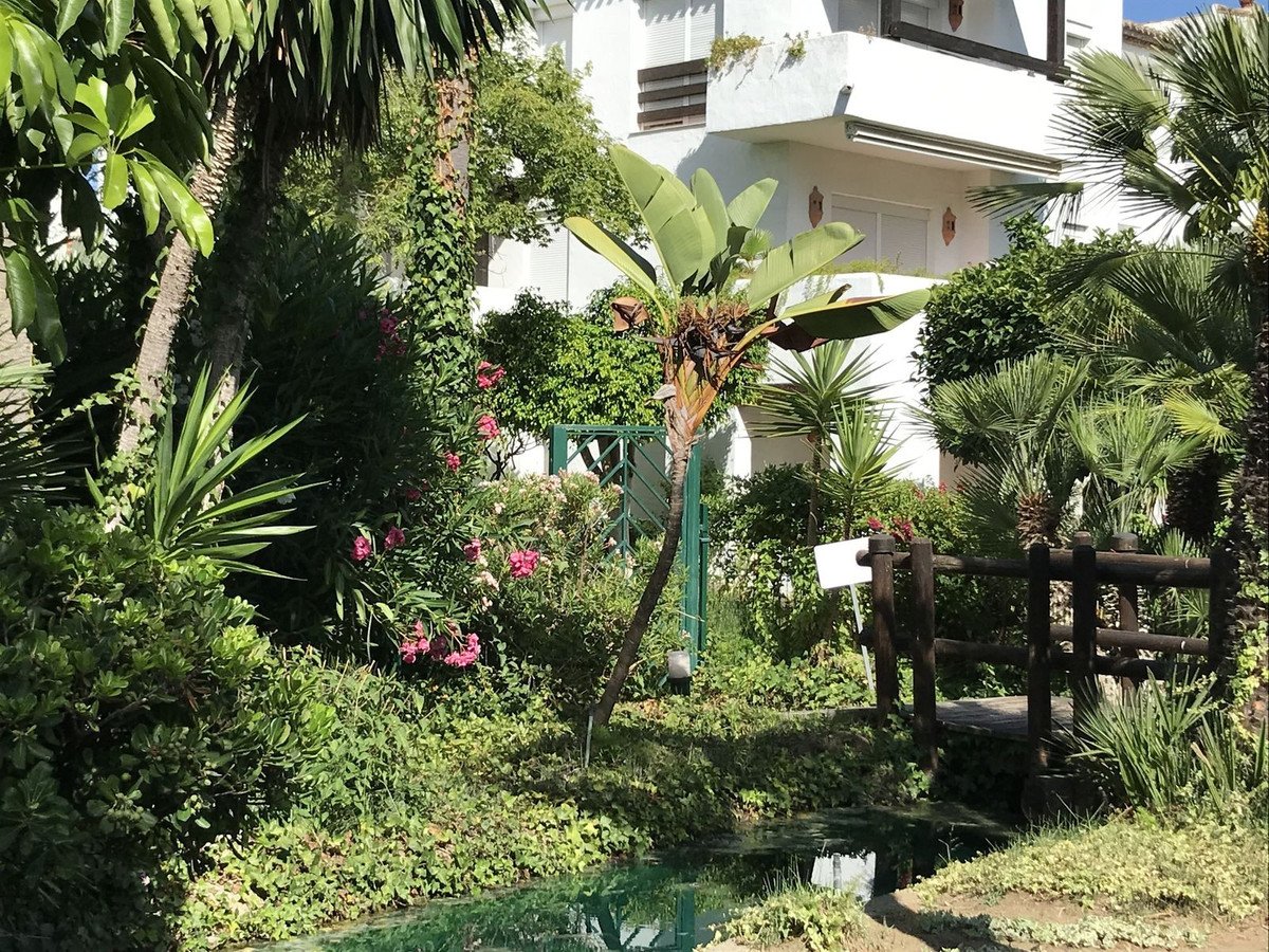 Lush tropical garden with a small pond and wooden bridge, leading to a white building.
