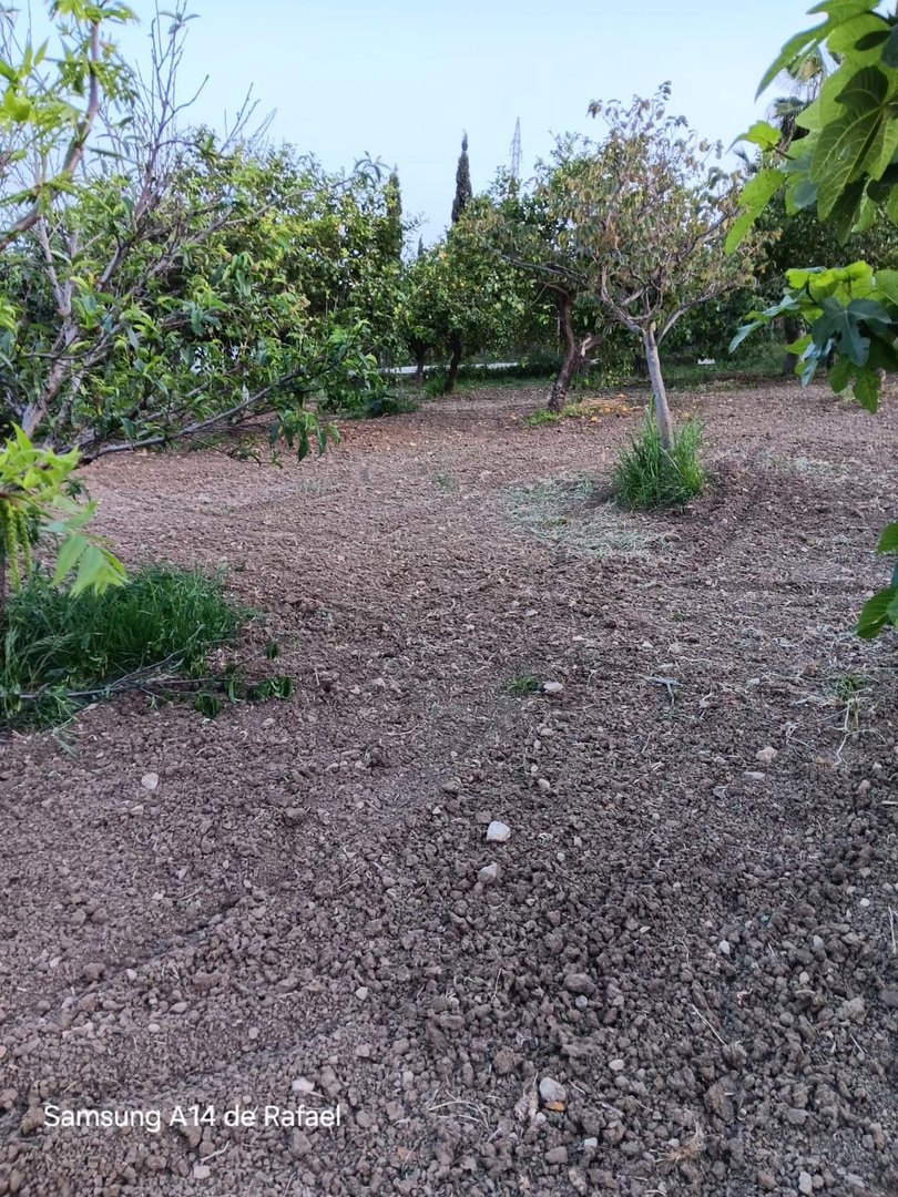 1 Bed Land in El Padron in El Padron, Land