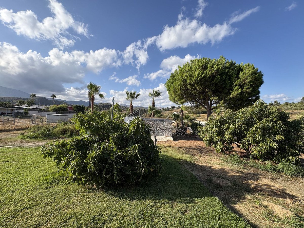 A sunny day with green grass, trees, and distant mountains under a blue sky with white clouds.