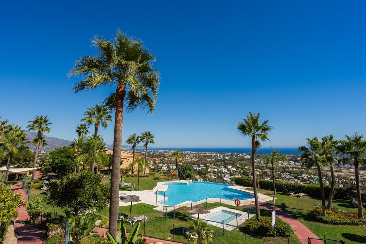 Resort swimming pool surrounded by palm trees with a view of the ocean and cityscape under a clear blue sky.