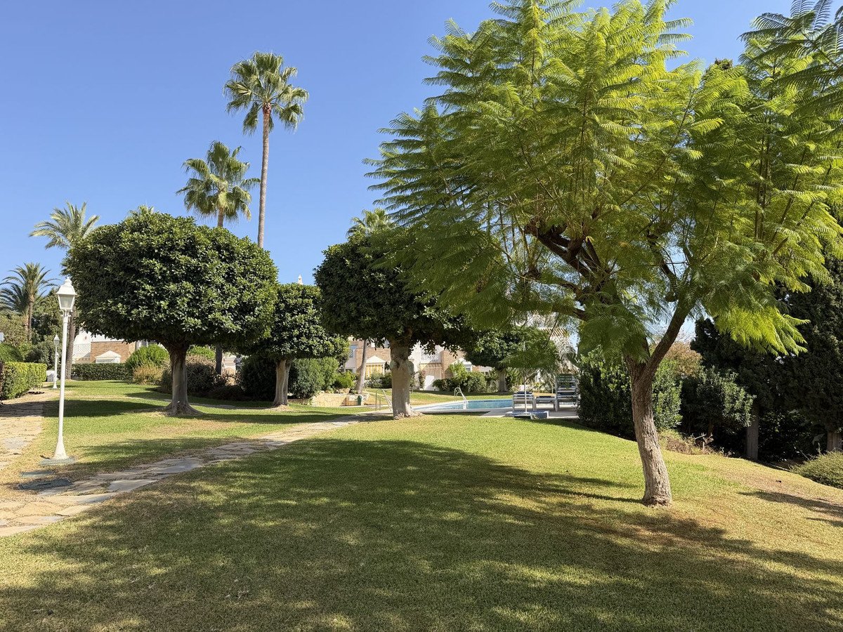 Outdoor garden with trees, grass, and a swimming pool under a clear blue sky.