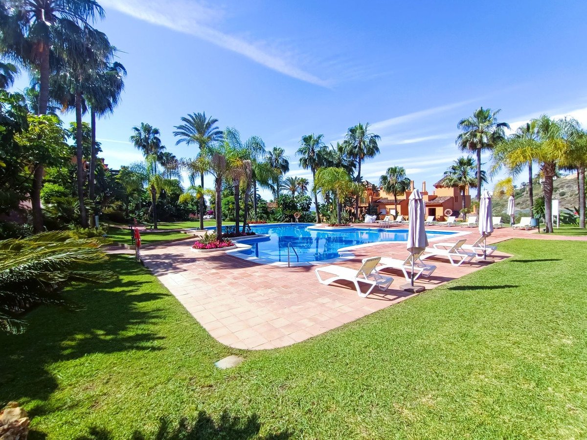 Outdoor swimming pool with lounge chairs, palm trees, and sunny garden view