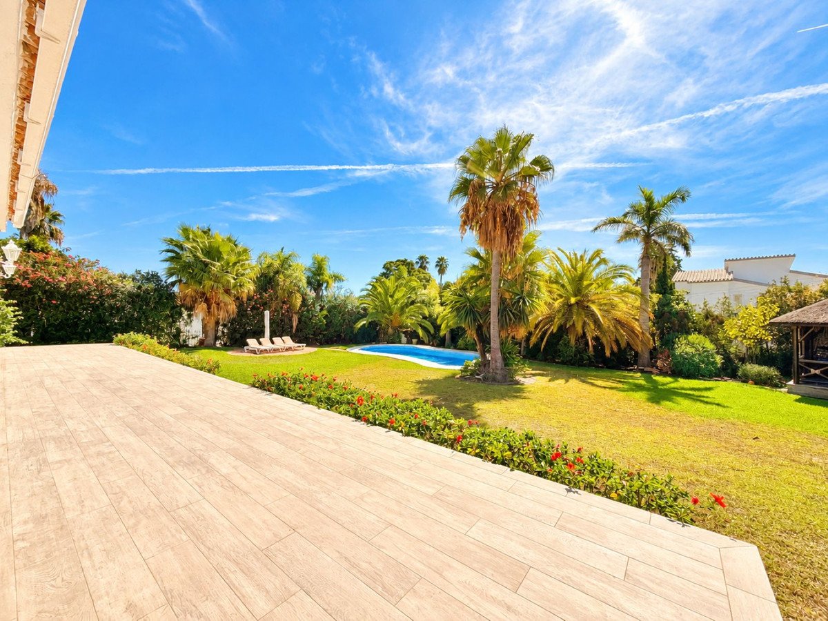 A sunny tropical garden with a swimming pool, lounge chairs, palm trees, and a wooden terrace.