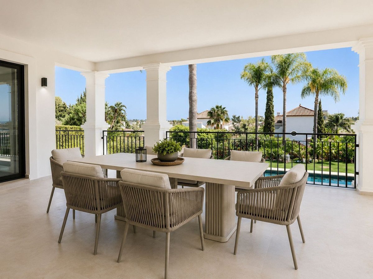 Outdoor dining terrace with pool and palm tree view