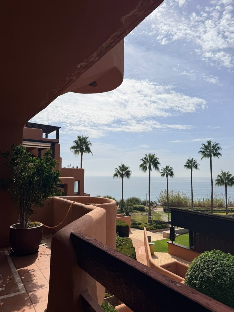 Balcony with sea view and palm trees, outdoor space with plants