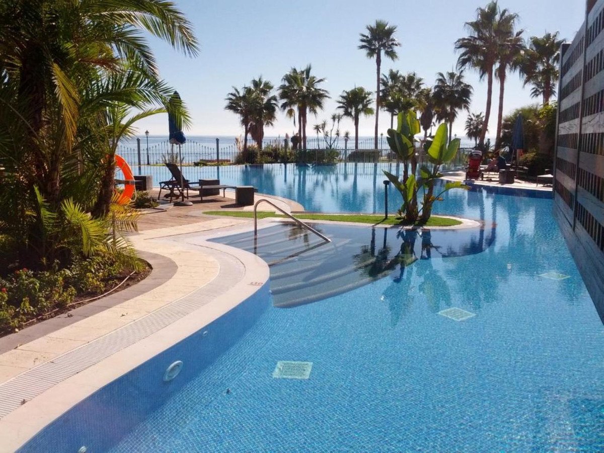 Outdoor swimming pool with palm trees and ocean view