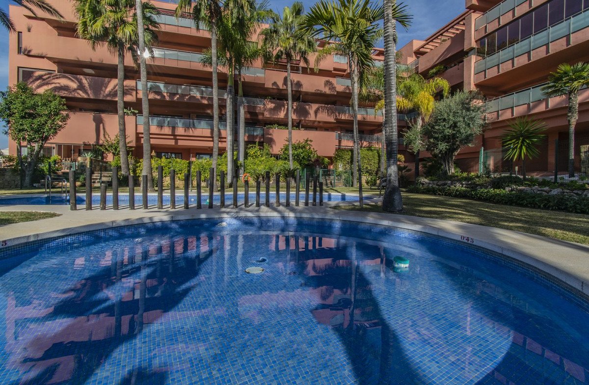 A swimming pool in front of a resort-style building with palm trees and lush greenery on a sunny day.