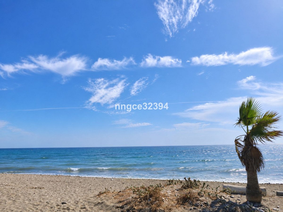 28 photo