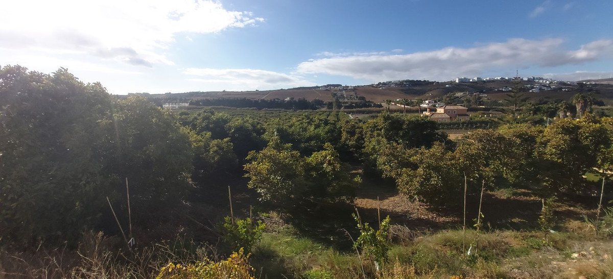 Land in Estepona in Estepona, Land