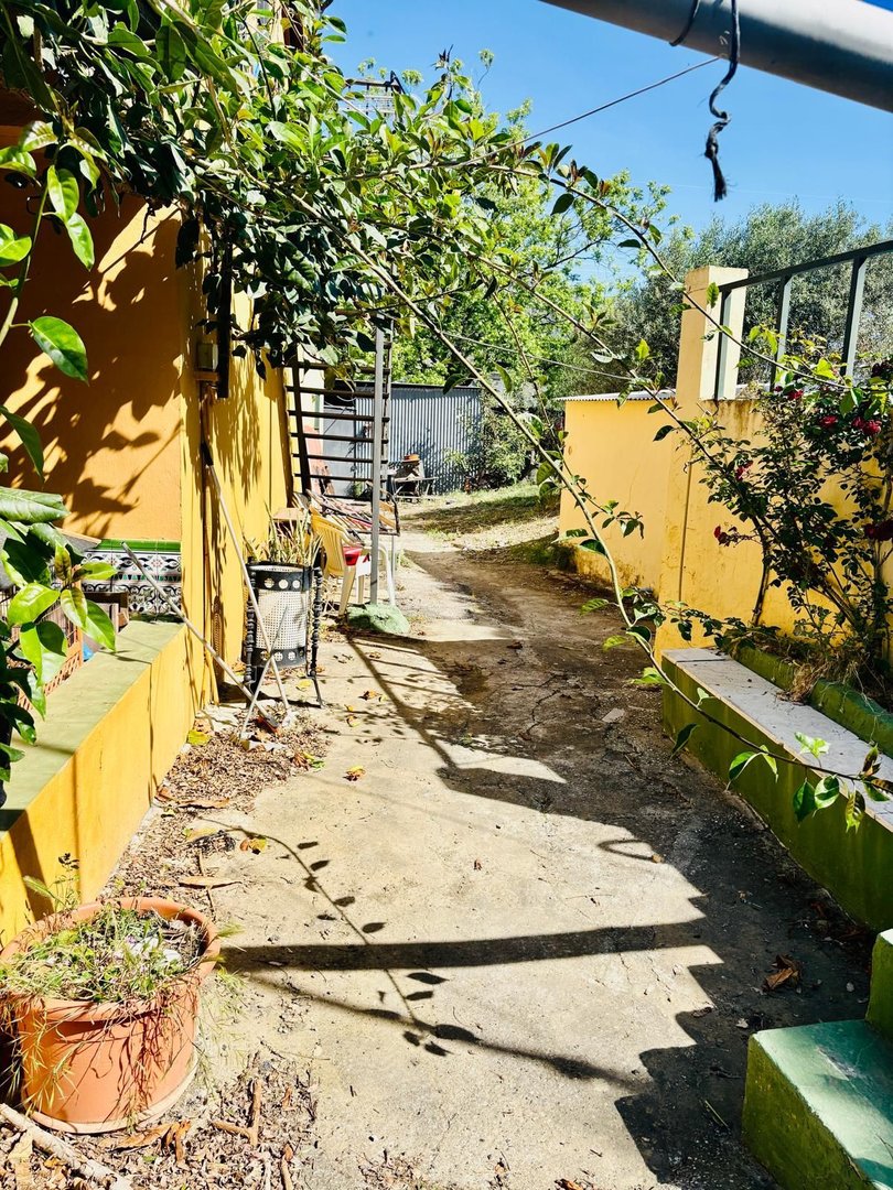 04 photo