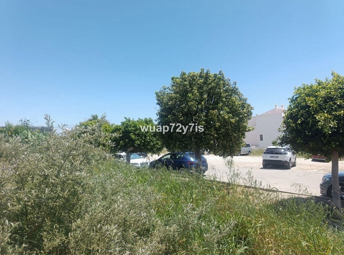 06 photo
