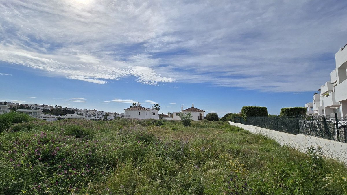 04 photo
