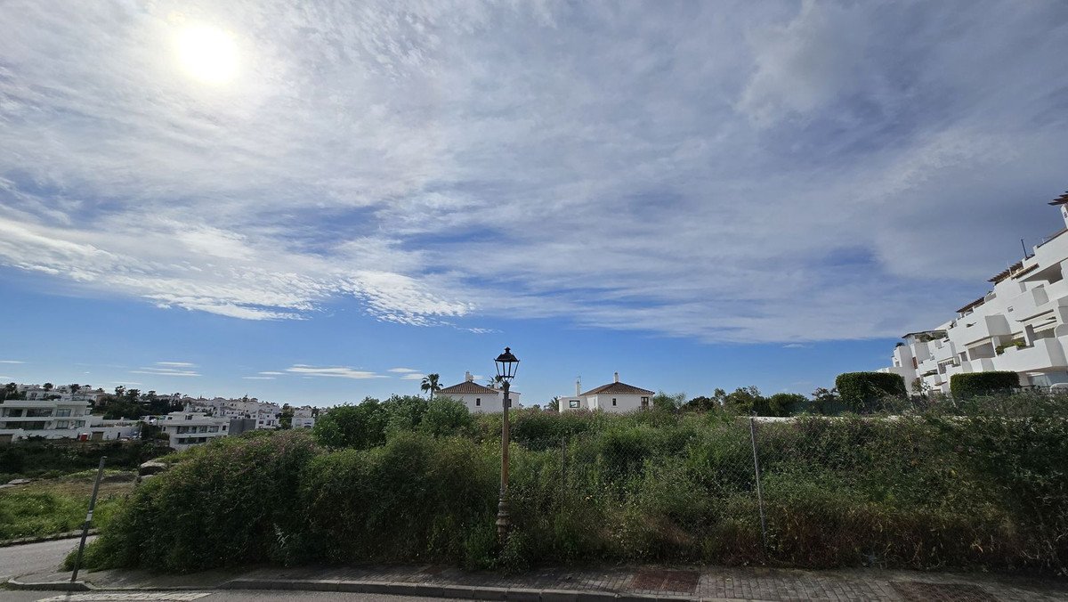 06 photo