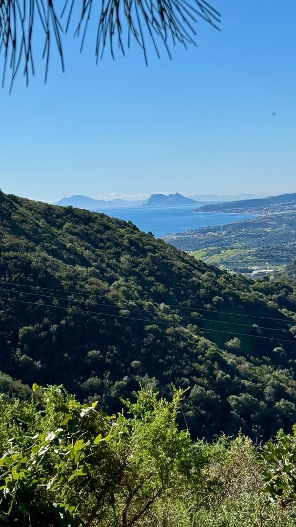 Land in Estepona في Estepona — 