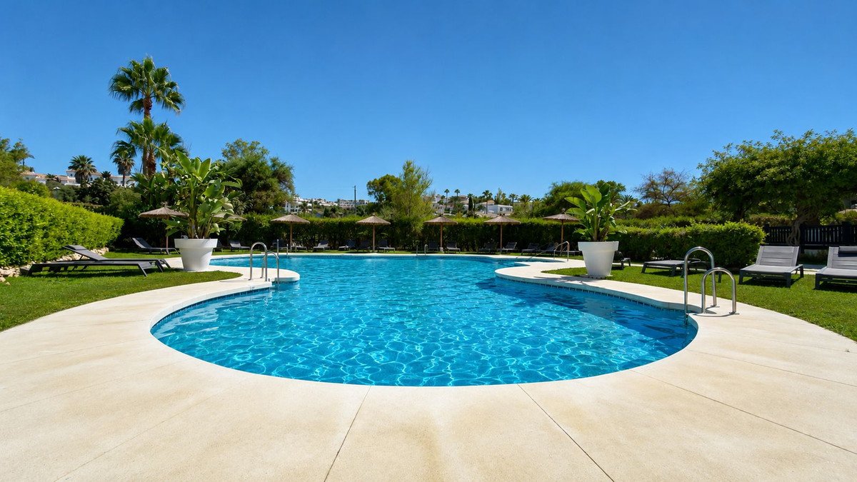 A large, sparkling blue swimming pool with a curved edge, surrounded by green grass, loungers, umbrellas, and palm trees under a clear blue sky.