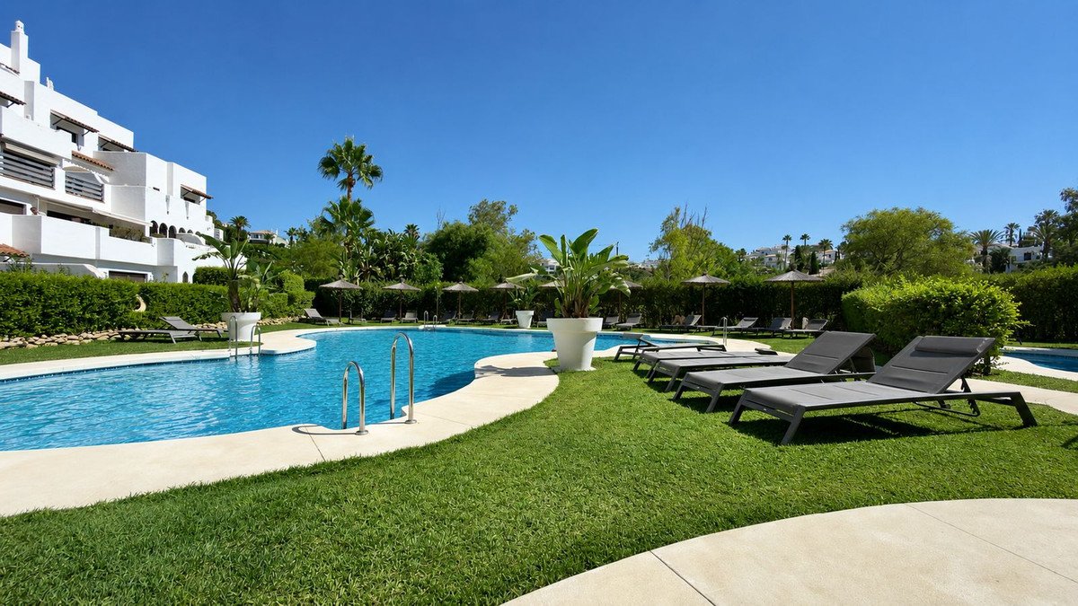 A bright outdoor swimming pool area with sun loungers, lush green grass, and trees under a clear blue sky.