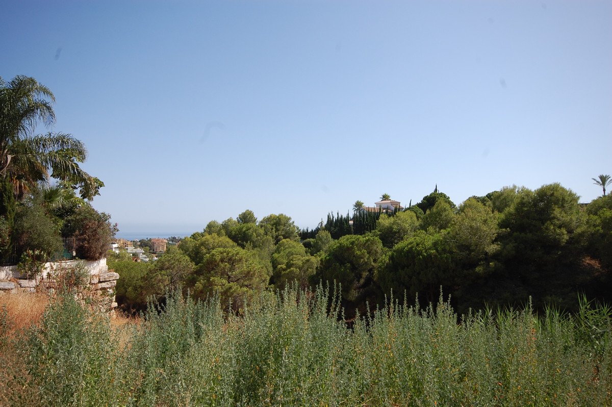 04 photo