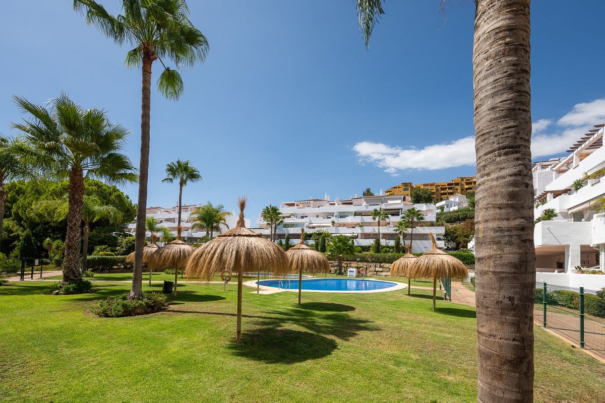 A resort pool area with palm trees and thatched umbrellas, surrounded by lush green grass and white buildings under a blue sky.