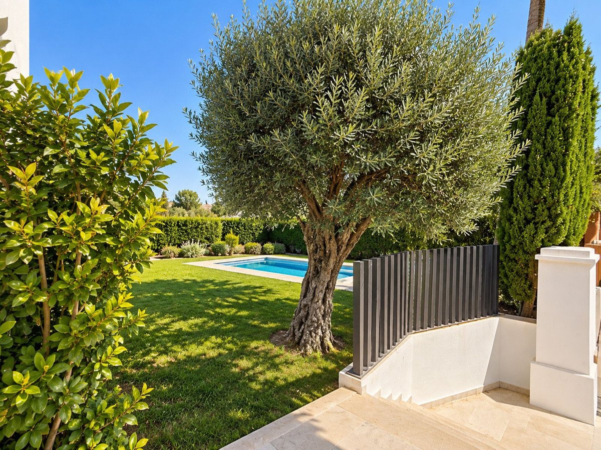 A well-maintained garden with a swimming pool, an olive tree, and lush green lawn under a clear blue sky.