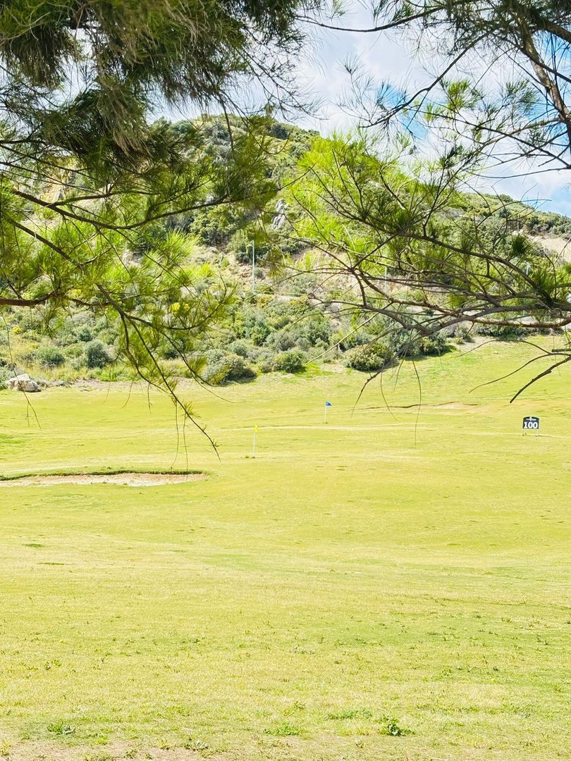 View of a golf course with a bunker and flags, framed by tree branches with a hilly landscape in the background.
