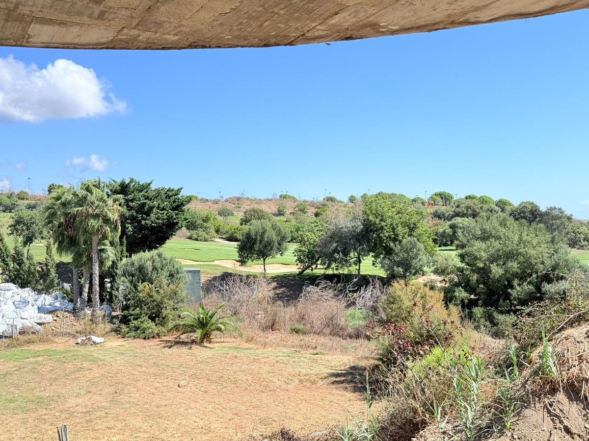View of a lush green golf course with mature trees and palm trees under a bright blue sky.