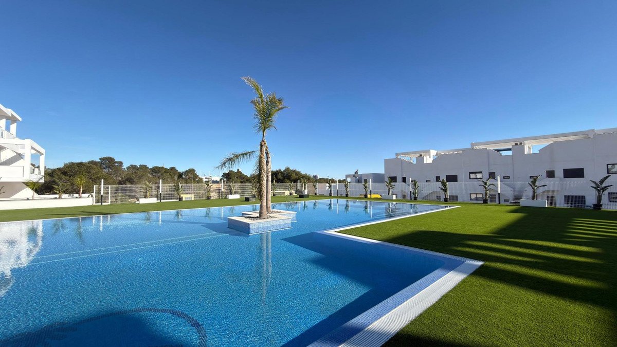 Modern swimming pool with white houses and palm tree