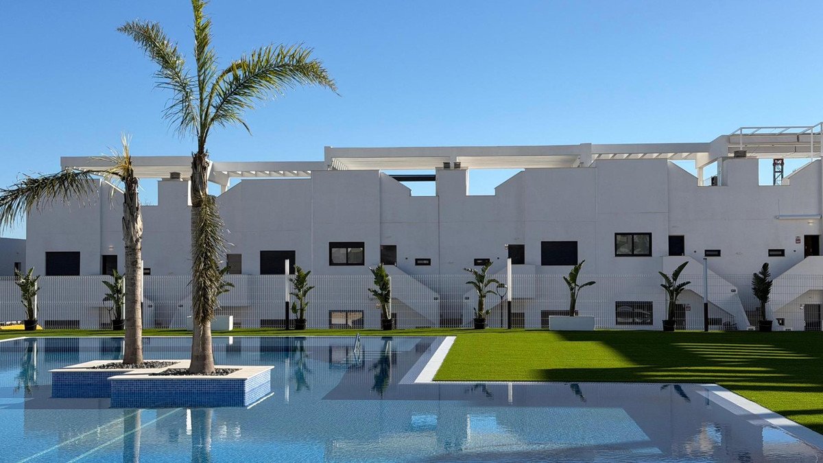 Modern white house with swimming pool and palm trees