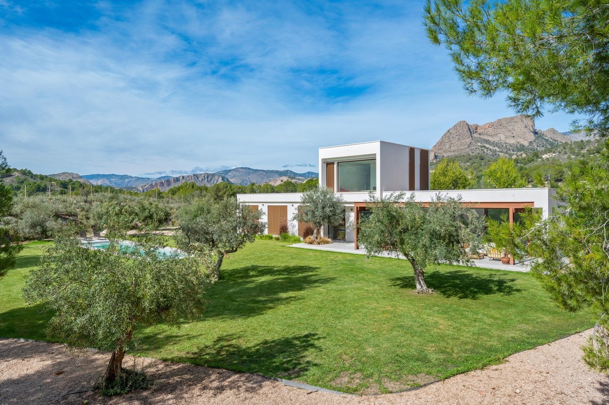 Modern home with swimming pool and mountain view
