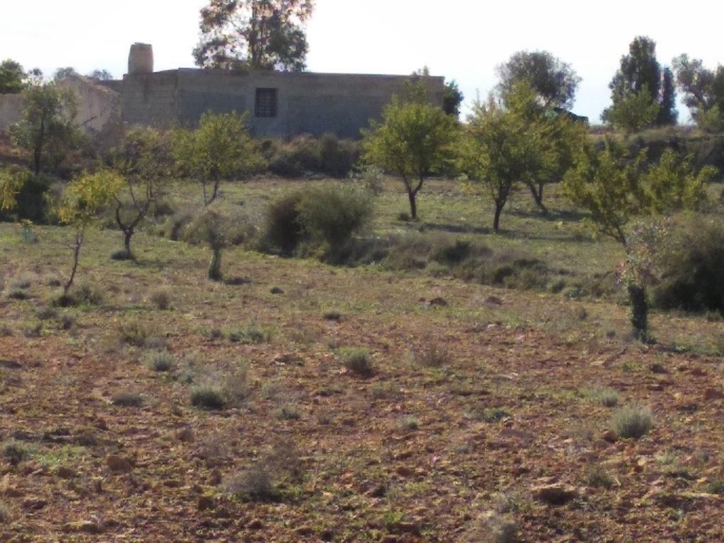 05 photo
