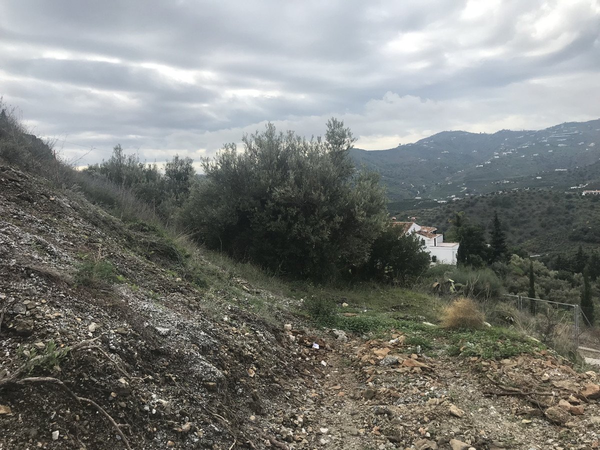 Land in Frigiliana rajons: Frigiliana — Zemes gabals