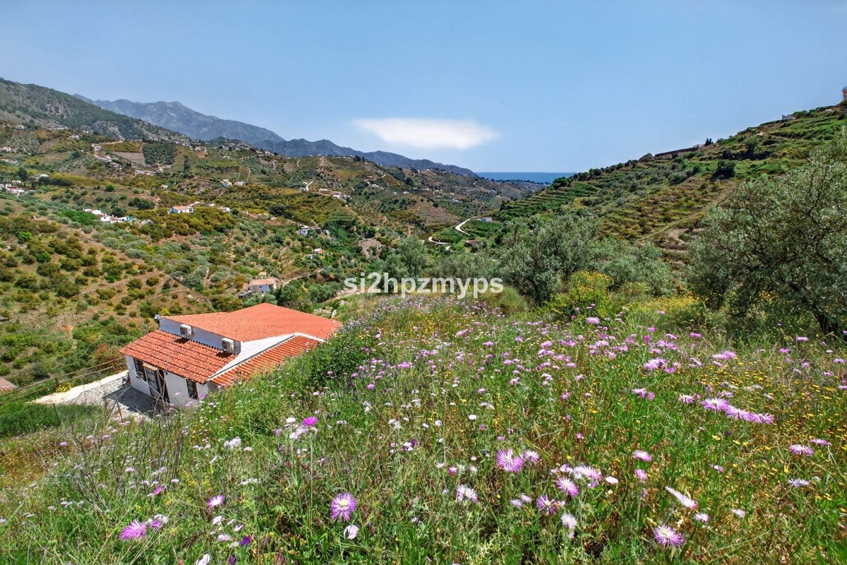 1 Bed Detached Villa in Frigiliana in Frigiliana — Detached Villa